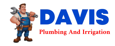 Trusted plumber in DULAC